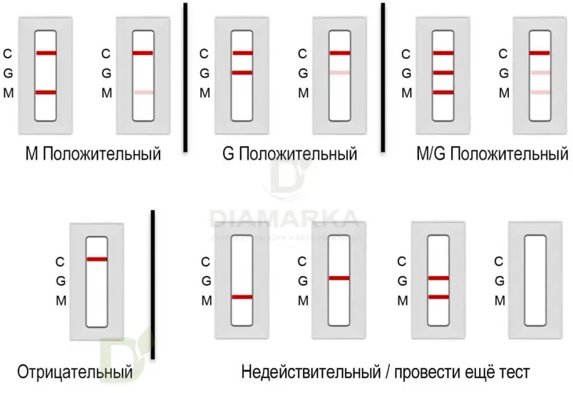 Тесты Sugentech SGTi-flex COVID-19 IgM/IgG